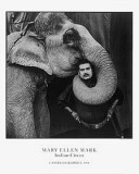 Ram Prakash Singh, Elephant