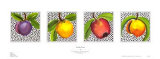 Funky Fruit