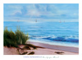 Sandpiper Beach