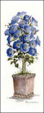 Morning Glory Topiary