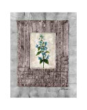 Buy Variete Bleue II at AllPosters.com