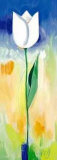 Buy Single White Tulip at AllPosters.com