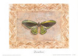 Buy Exotic Species, Zanzibar at AllPosters.com