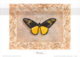 Buy Exotic Species, Kenya at AllPosters.com