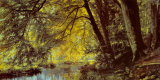 Buy River Through the Woods at AllPosters.com
