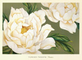 Buy Peonies at AllPosters.com