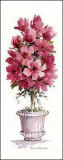 Magnolia Topiary