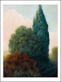 Buy Tuscan Trees II at AllPosters.com