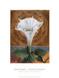Angel's Trumpet