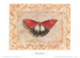 Buy Exotic Species, Namibia at AllPosters.com