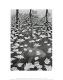Buy Three Worlds at AllPosters.com