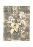 Buy Silver Rose I at AllPosters.com