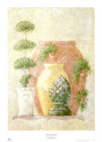 Topiary and Terracotta I