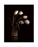 Buy Dramatic Tulips at AllPosters.com