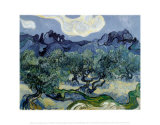 Landscape with Olive Trees