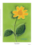 Buy Paris Daisy at AllPosters.com