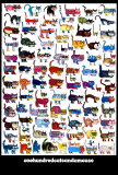 Buy 100 Cats and a Mouse at AllPosters.com