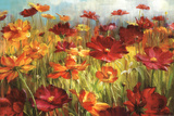 Buy Cosmos in the Field at AllPosters.com