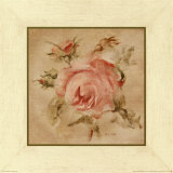 Pale Pink Rose on Antique Linen