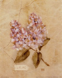 Lilac on Cracked Linen