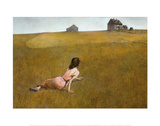 Christina's World, 1948 Art Print