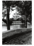 Notre-Dame, Paris