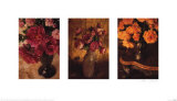 Buy Les Couleurs Des Roses II at AllPosters.com