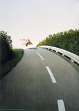Autobahn Pig