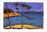 Coral Cove