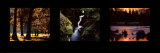 Images from Nature II