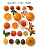 Citrus Fruit Kunstdruck