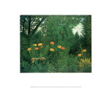 Exotic Landscape