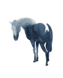 Buy Chinese Horse at AllPosters.com