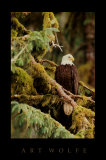 Buy Silent Sentinel Alaska at AllPosters.com