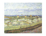 Peach Blossoms in the Crau, c.1889 Art Print