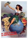 Buy Adani Fruits at AllPosters.com