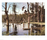 Buy Summer Refuge, Wood Ducks at AllPosters.com