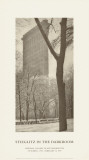 Flatiron Building Art Print