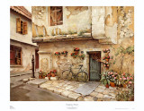 Passageway in Provence