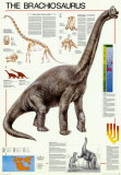 Dinosuars Brachiosaurus