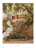 Courtyard in Provence