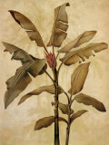 Palms of the Tropics I