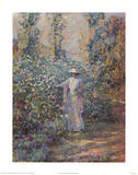 Edge of Garden
