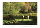 Lily Pond, Shudbrook, Near Lincoln