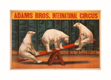 Adams Bros. International Circus Art Print