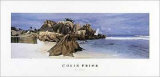Buy Digue at AllPosters.com