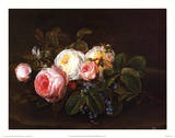 Still Life with Roses and Forget