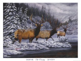 Elk Crossing