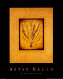 Fern Rhythms