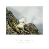 In the Cliffs